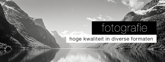 kunst te koop