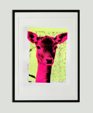 warhol zeefdruk deer