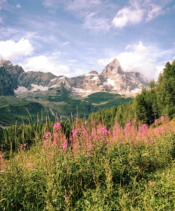 matterhorn berg