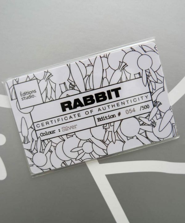 Balloon Rabbit Silver XL - Afbeelding 7