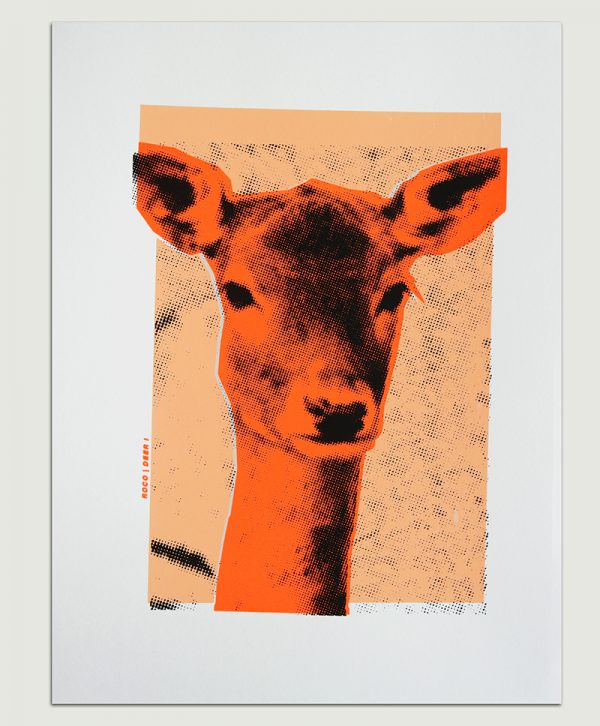 Deer II - ROCO Studio - Afbeelding 3