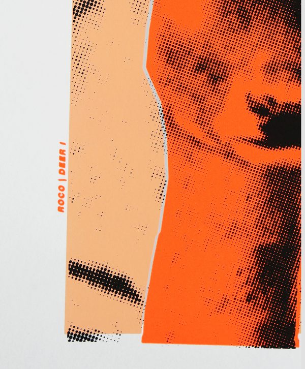 Deer II - ROCO Studio - Afbeelding 4